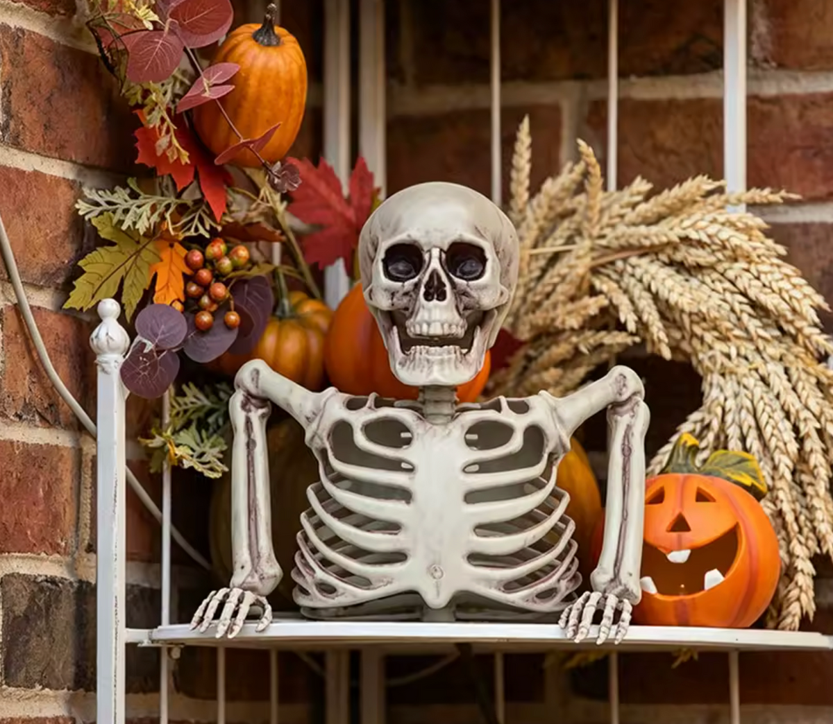 HALF-BODY SKELETON
